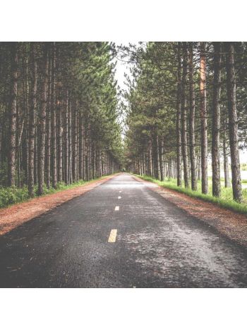 Test Simple Product 16