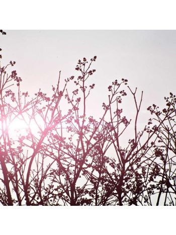 Test Simple Product 17