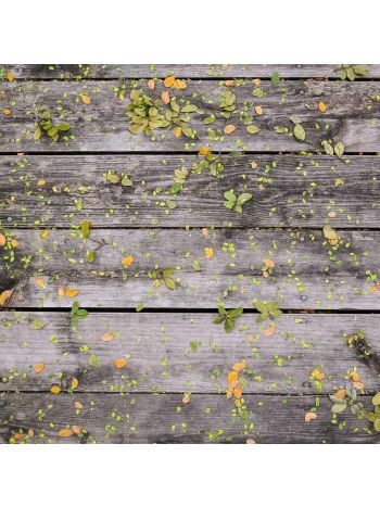 Test Simple Product 18