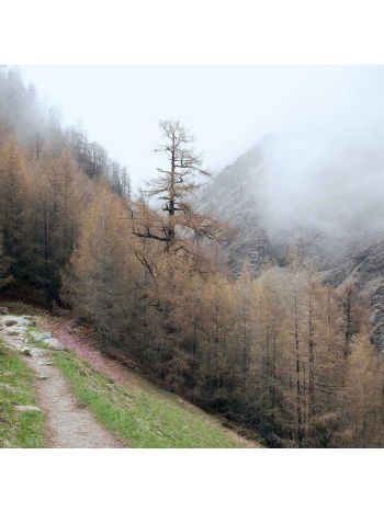 Test Simple Product 7