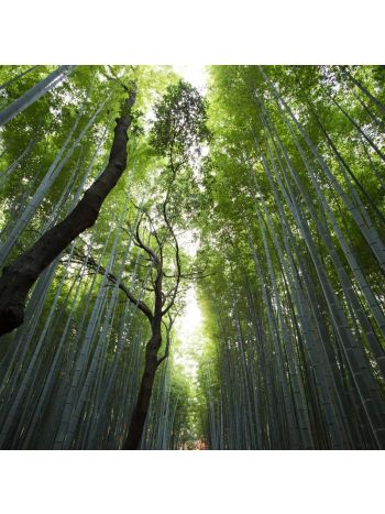 Test Simple Product 8